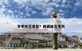 冬季林芝景色？西藏林芝冬天