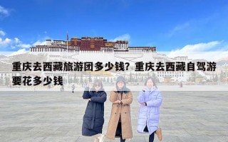 重慶去西藏旅游團(tuán)多少錢？重慶去西藏自駕游要花多少錢
