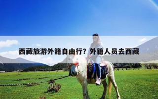 西藏旅游外籍自由行？外籍人員去西藏