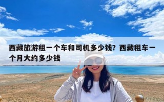 西藏旅游租一個車和司機多少錢？西藏租車一個月大約多少錢