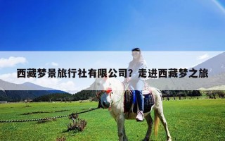 西藏夢景旅行社有限公司？走進西藏夢之旅