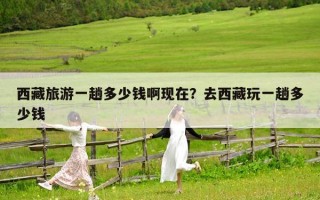 西藏旅游一趟多少錢啊現在？去西藏玩一趟多少錢
