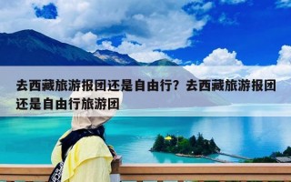 去西藏旅游報團還是自由行？去西藏旅游報團還是自由行旅游團