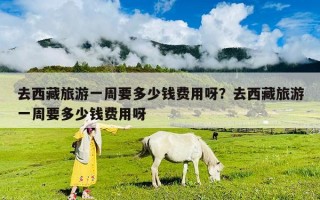 去西藏旅游一周要多少錢費(fèi)用呀？去西藏旅游一周要多少錢費(fèi)用呀