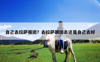 自己去拉薩報(bào)團(tuán)？去拉薩跟團(tuán)去還是自己去好