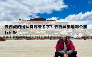去西藏的團隊有哪些名字？去西藏參加哪個旅行團好
