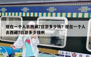現在一個人去西藏7日游多少錢？現在一個人去西藏7日游多少錢啊
