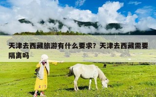 天津去西藏旅游有什么要求？天津去西藏需要隔離嗎