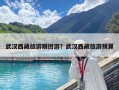 武漢西藏旅游跟團(tuán)游？武漢西藏旅游預(yù)算