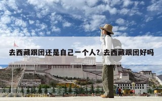 去西藏跟團還是自己一個人？去西藏跟團好嗎