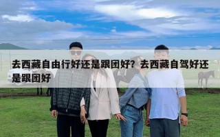 去西藏自由行好還是跟團(tuán)好？去西藏自駕好還是跟團(tuán)好