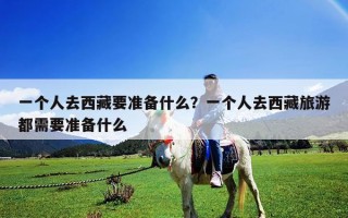 一個人去西藏要準備什么？一個人去西藏旅游都需要準備什么
