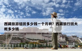 西藏旅游組團多少錢一個月啊？西藏旅行團大概多少錢