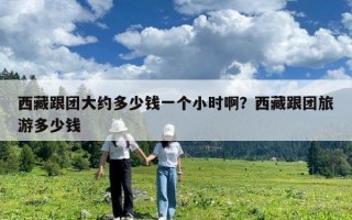 西藏跟團大約多少錢一個小時啊？西藏跟團旅游多少錢