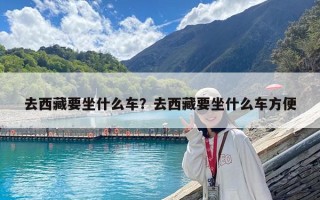 去西藏要坐什么車？去西藏要坐什么車方便