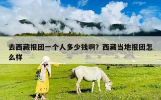 去西藏報團(tuán)一個人多少錢啊？西藏當(dāng)?shù)貓髨F(tuán)怎么樣