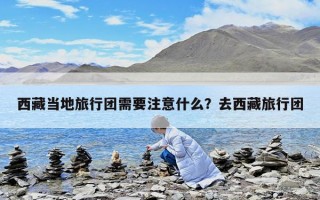 西藏當(dāng)?shù)芈眯袌F(tuán)需要注意什么？去西藏旅行團(tuán)