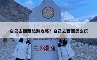 自己去西藏旅游攻略？自己去西藏怎么玩