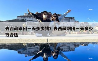 去西藏跟團一天多少錢？去西藏跟團一天多少錢合適