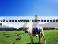 拉薩去珠峰大本營報團？拉薩到珠峰大本營跟團