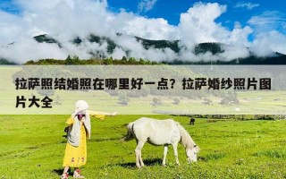 拉薩照結(jié)婚照在哪里好一點(diǎn)？拉薩婚紗照片圖片大全