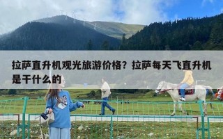 拉薩直升機(jī)觀光旅游價(jià)格？拉薩每天飛直升機(jī)是干什么的