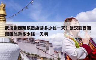 武漢到西藏跟團旅游多少錢一天？武漢到西藏跟團旅游多少錢一天啊