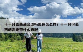 十一月去西藏合適嗎現在怎么樣？十一月份去西藏需要帶什么衣服