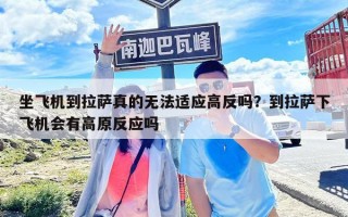 坐飛機到拉薩真的無法適應高反嗎？到拉薩下飛機會有高原反應嗎
