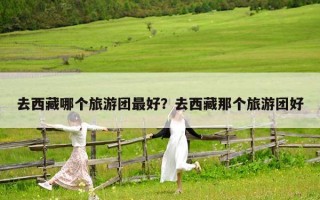 去西藏哪個旅游團最好？去西藏那個旅游團好