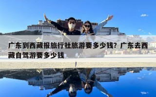廣東到西藏報旅行社旅游要多少錢？廣東去西藏自駕游要多少錢