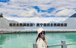 報(bào)團(tuán)去西藏旅游？西寧報(bào)團(tuán)去西藏旅游