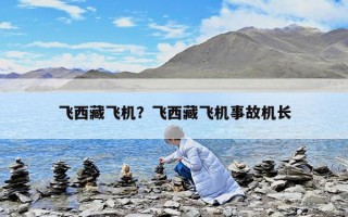 飛西藏飛機？飛西藏飛機事故機長