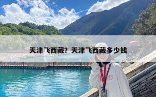 天津飛西藏？天津飛西藏多少錢