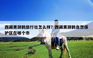 西藏黑頸鶴旅行社怎么樣？西藏黑頸鶴自然保護區在哪個市