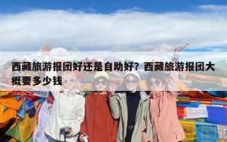 西藏旅游報團好還是自助好？西藏旅游報團大概要多少錢