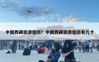 中國西藏旅游組團？中國西藏旅游組團有幾個