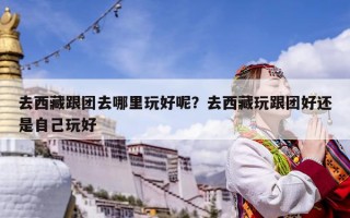 去西藏跟團去哪里玩好呢？去西藏玩跟團好還是自己玩好