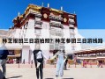 林芝報(bào)團(tuán)三日游拍照？林芝參團(tuán)三日游線路