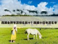 西藏金牌導(dǎo)游排名前十？西藏十佳導(dǎo)游名單