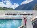 西藏旅游專列？沈陽西藏旅游專列