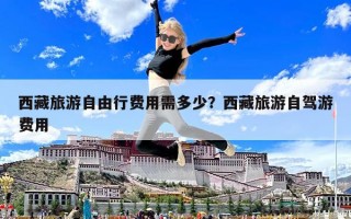 西藏旅游自由行費用需多少？西藏旅游自駕游費用