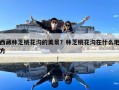 西藏林芝桃花溝的美景？林芝桃花溝在什么地方