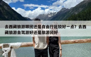 去西藏旅游跟團(tuán)還是自由行比較好一點(diǎn)？去西藏旅游自駕游好還是旅游團(tuán)好