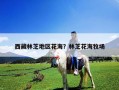 西藏林芝地區(qū)花海？林芝花海牧場