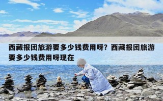 西藏報團旅游要多少錢費用呀？西藏報團旅游要多少錢費用呀現在