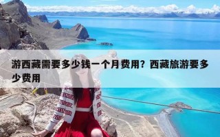 游西藏需要多少錢一個(gè)月費(fèi)用？西藏旅游要多少費(fèi)用