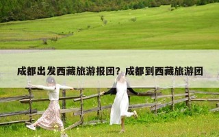 成都出發西藏旅游報團？成都到西藏旅游團