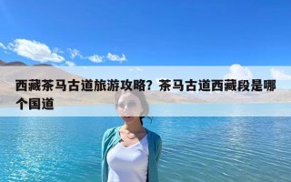 西藏茶馬古道旅游攻略？茶馬古道西藏段是哪個國道