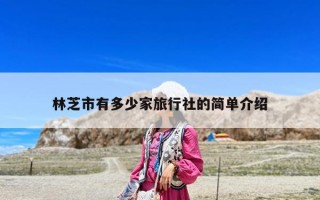 林芝市有多少家旅行社的簡單介紹